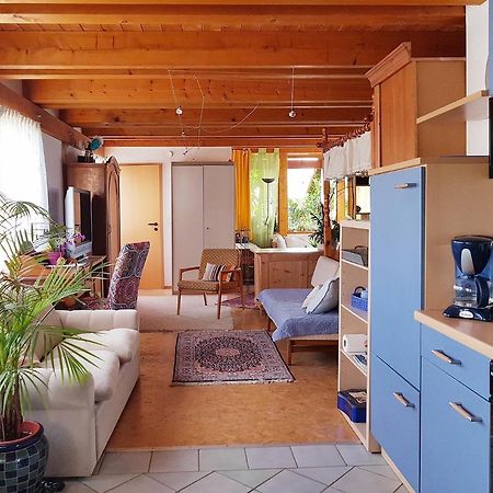 Zentrale Ferienwohnung Auf Dem Schoenen Hunsrueck Halsenbach Kültér fotó