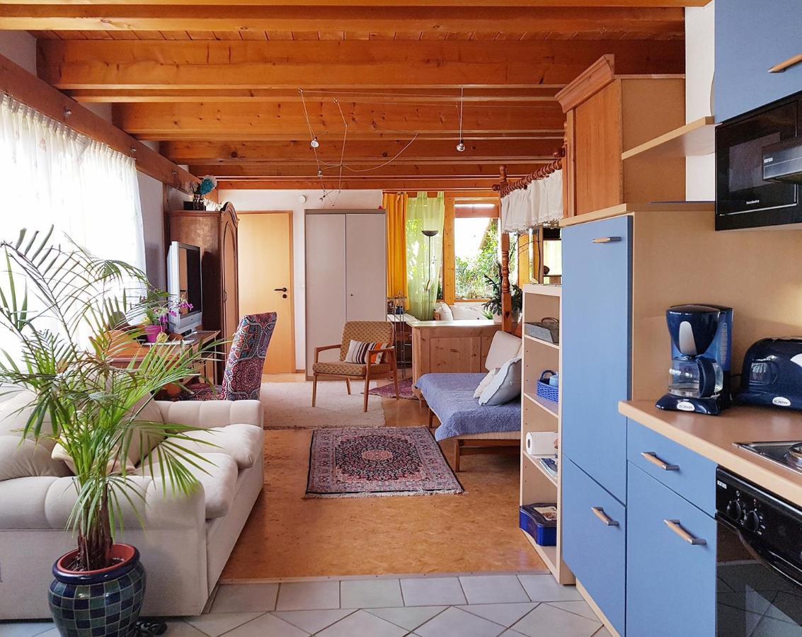 Zentrale Ferienwohnung Auf Dem Schoenen Hunsrueck Halsenbach Kültér fotó